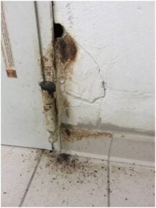 Traces de graisse (sébum) sur une cloison, signe d’un passage répété de rongeurs