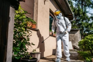 Expert antiparasitaire en action