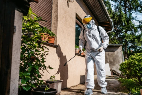 Expert antiparasitaire en action