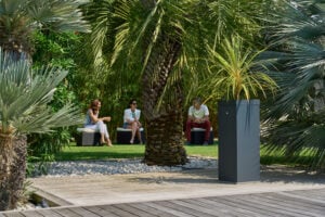 Piège anti-moustique installé dans un espace vert