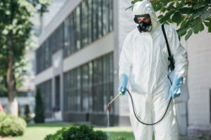 Technicien hygiéniste formé à un traitement professionnel contre la blatte germanique
