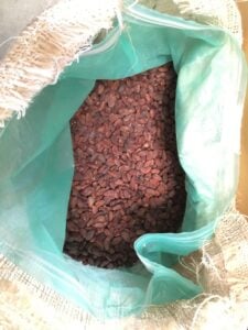 cacao stocké avec sache pour traitement par atmosphère contrôlée 