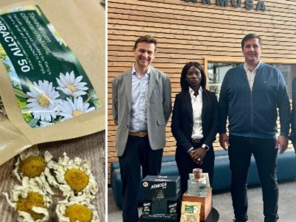 Pyrèthre kenyan et équipe d’Armosa en partenariat avec Kentegra
