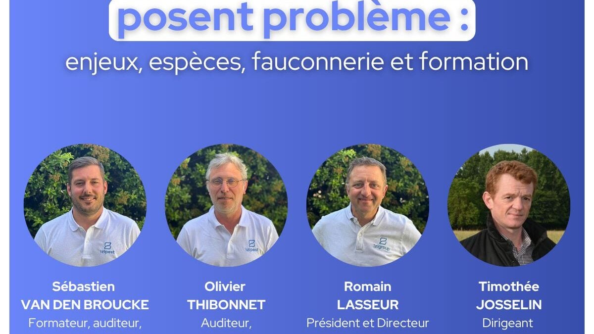 Lutte contre les nuisibles volatiles
