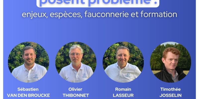 Lutte contre les nuisibles volatiles