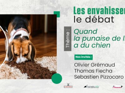 podcast punaise de lit détection canine