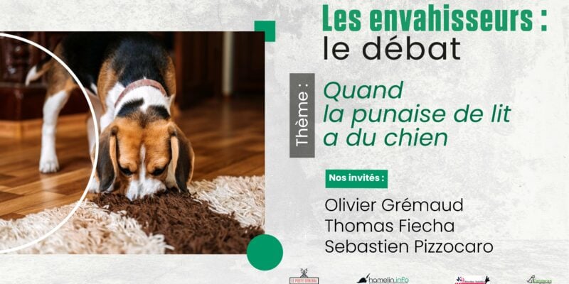 podcast punaise de lit détection canine