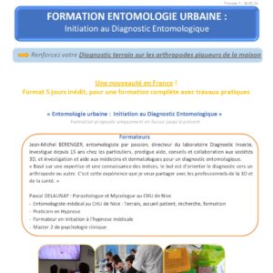formation entomologie urbaine