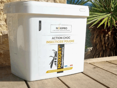 Solutions anti-nuisibles professionnelles de Noxipro