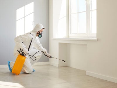 Technicien en désinsectisation pulvérisant un traitement antiparasitaire près d’une fenêtre intérieure