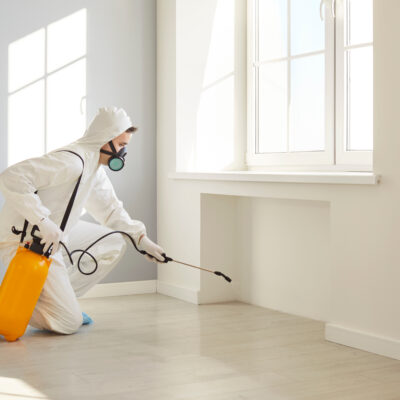 Technicien en désinsectisation pulvérisant un traitement antiparasitaire près d’une fenêtre intérieure