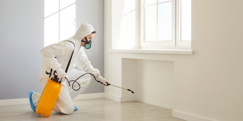 Technicien en désinsectisation pulvérisant un traitement antiparasitaire près d’une fenêtre intérieure