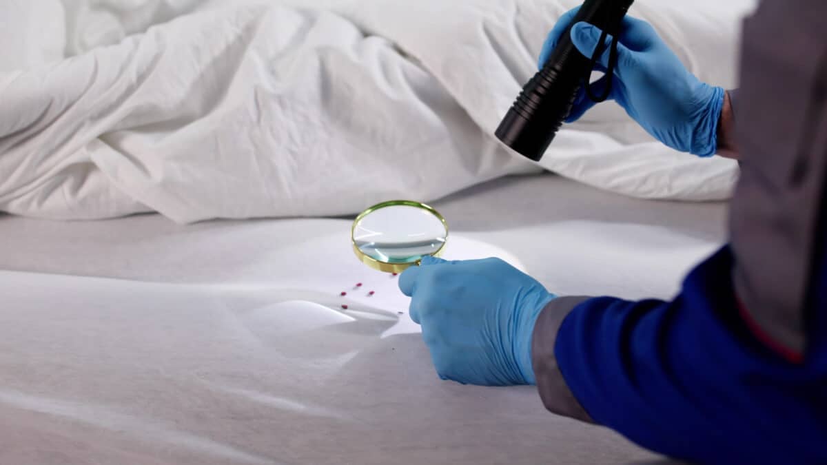 Gestion des punaises de lit