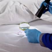 Gestion des punaises de lit