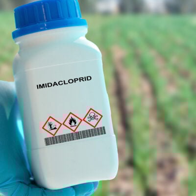 consultation ECHA imidaclopride PT18