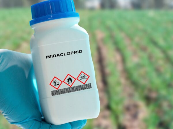 consultation ECHA imidaclopride PT18