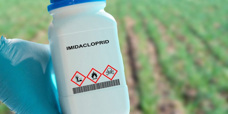 consultation ECHA imidaclopride PT18