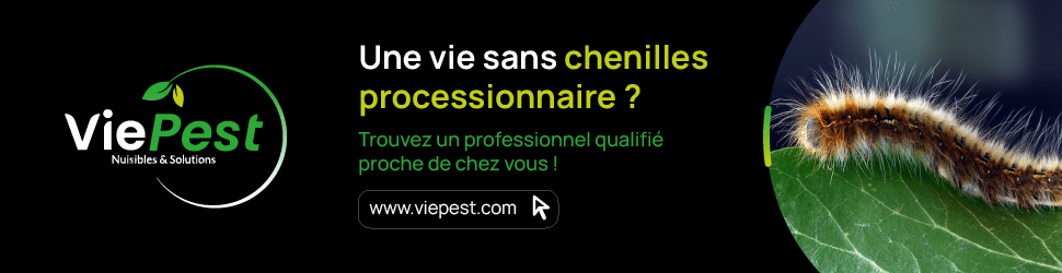 Chenille processionnaire-Bannière Viepest