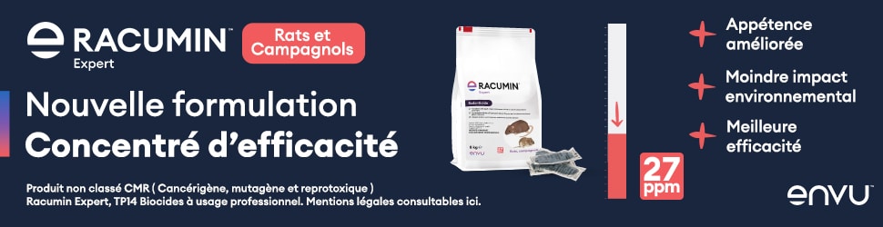 Bannieres_racuminhamelin