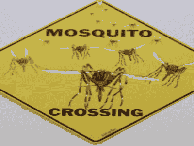 panneau jaune "mosquito crossing"