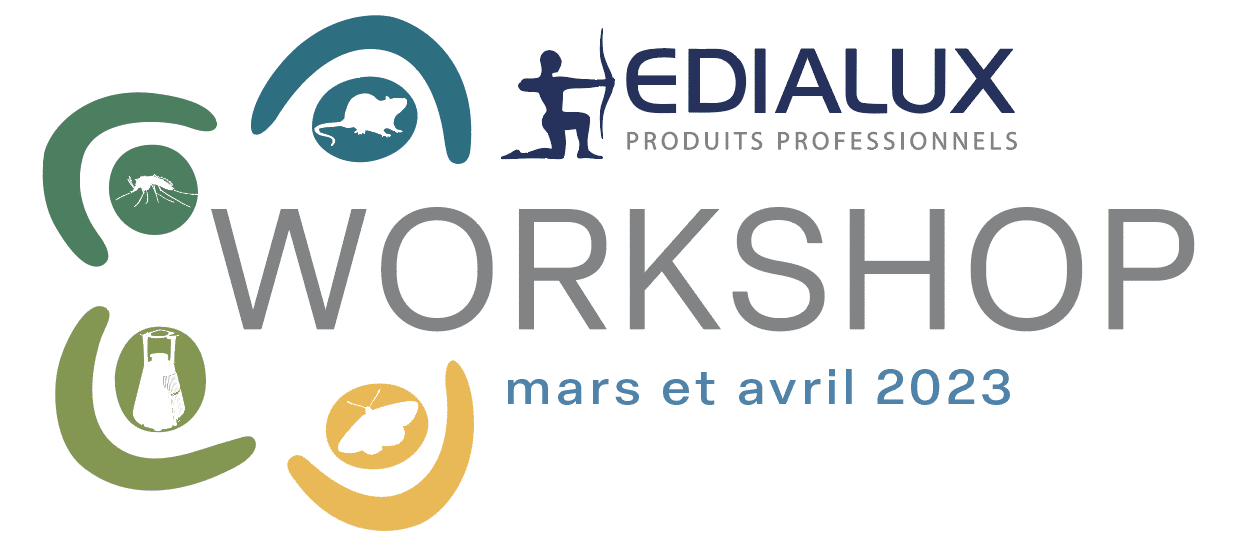 edialux workshop printemps 2023