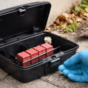 Poste d’appâtage pour rodenticides