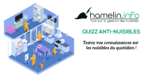 Image d'applicateurs qui nettoient une maison avec logo Hamelin.info et mots quizz anti-nuisibles