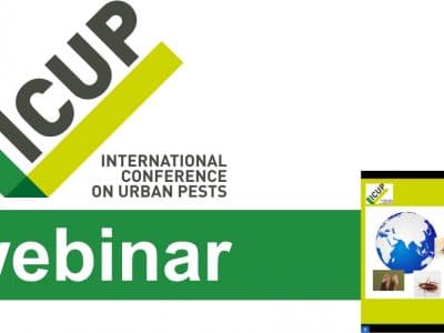 Logo ICUP webinar