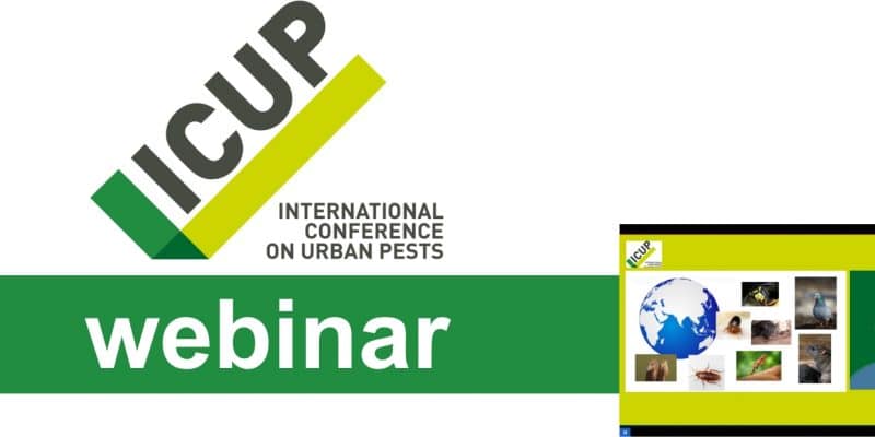 Logo ICUP webinar