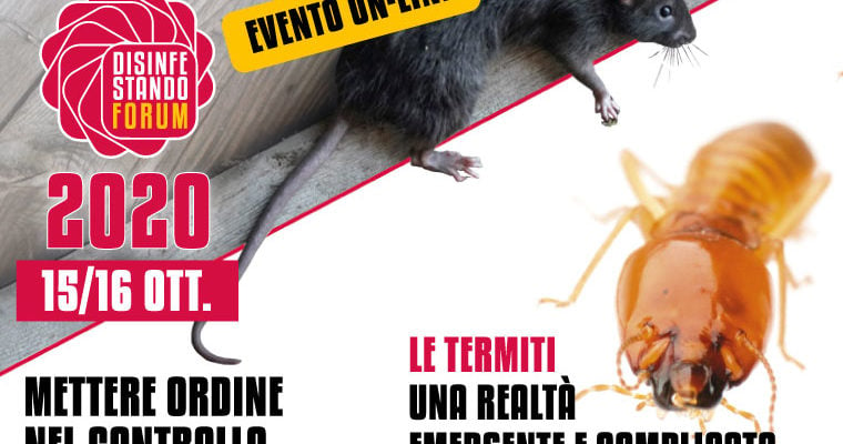 Affiche Forum disinfectando 2020 avec un rat et une termite