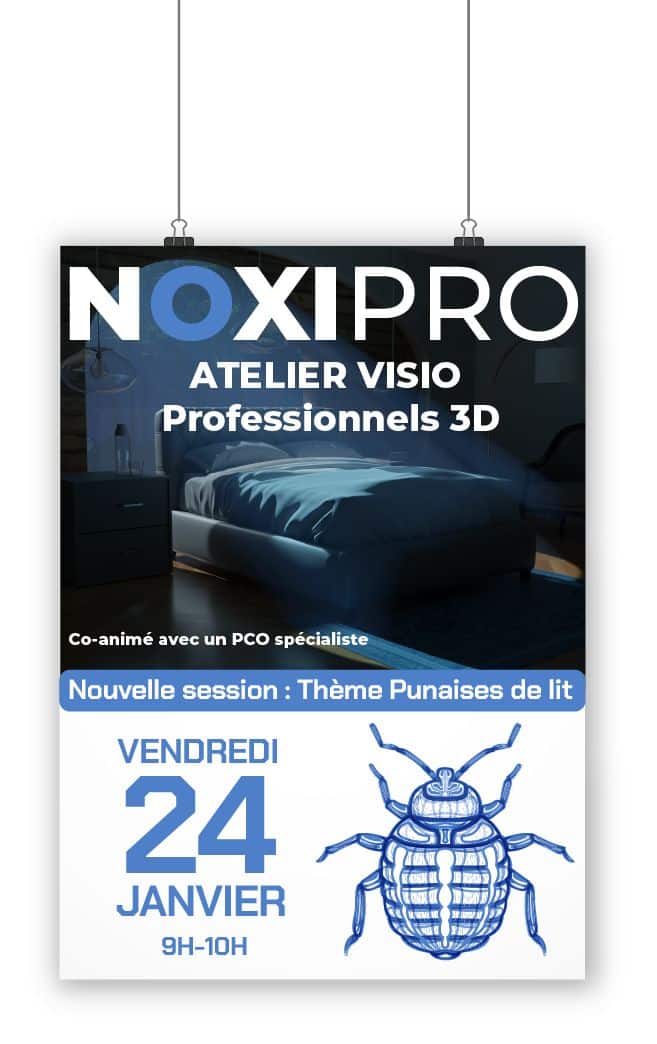JT Noxima