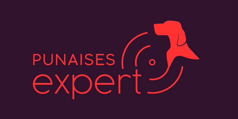 Logo Punaises Expert