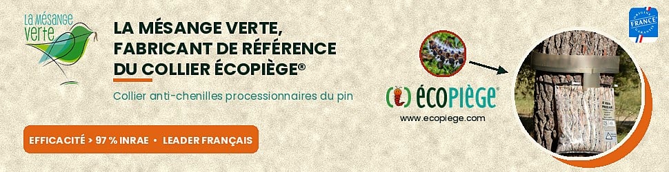 Bannière Mesange verte