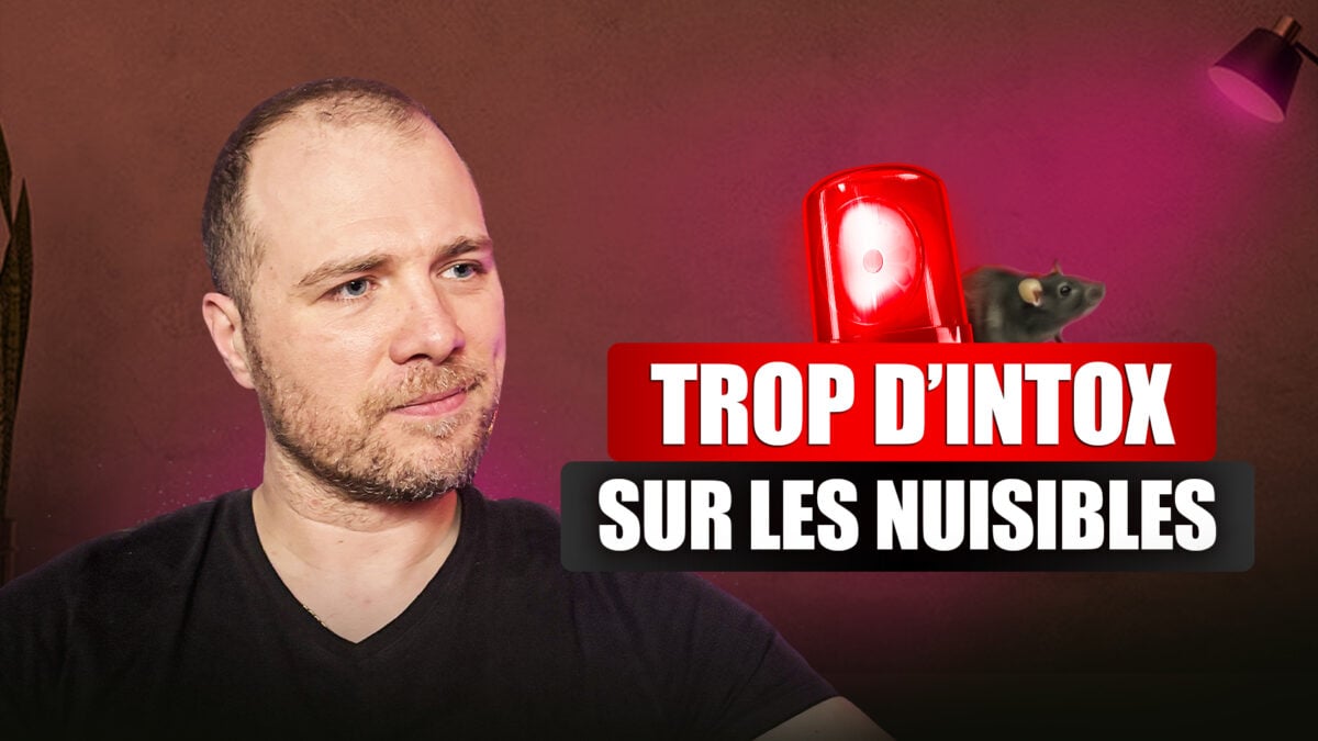 La communication en dératisation