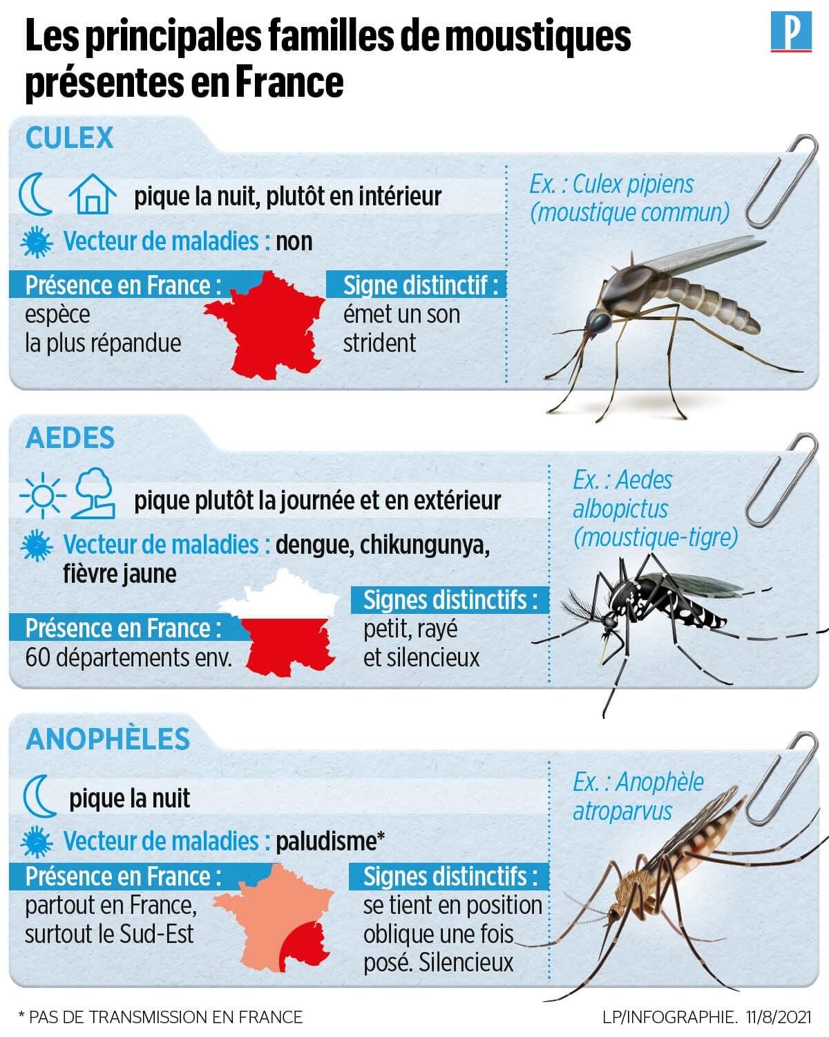 infographie montrant les familles de moustiques en france