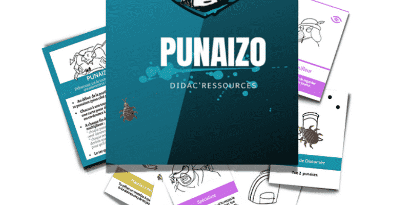 Jeu PunaiZo