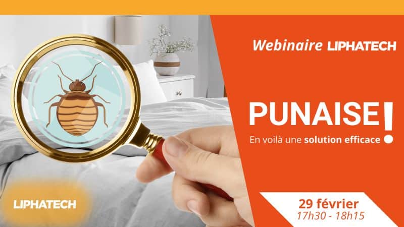 Webinaire Liphatec - punaise de lit
