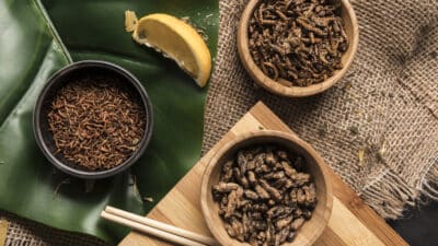 entomophagie dans l'agroalimentaire
