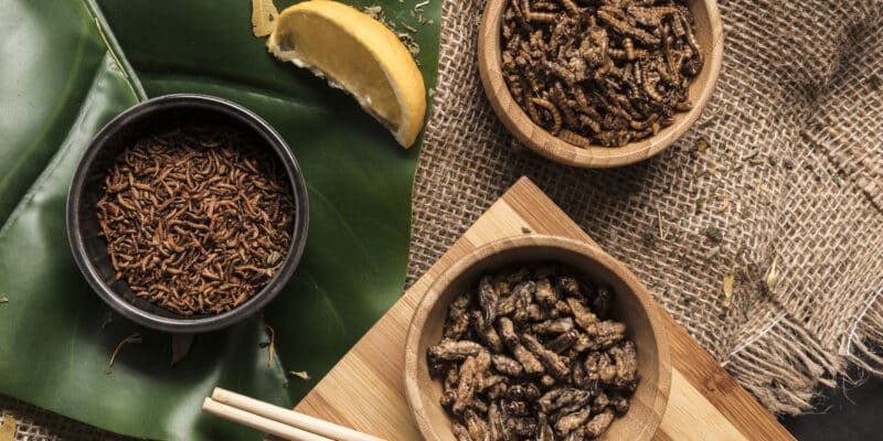 entomophagie dans l'agroalimentaire