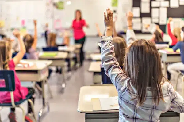 Moustiques dans les écoles