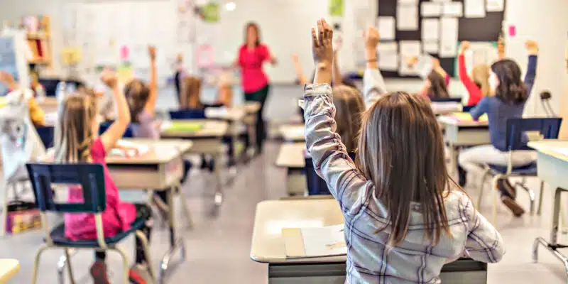 Moustiques dans les écoles