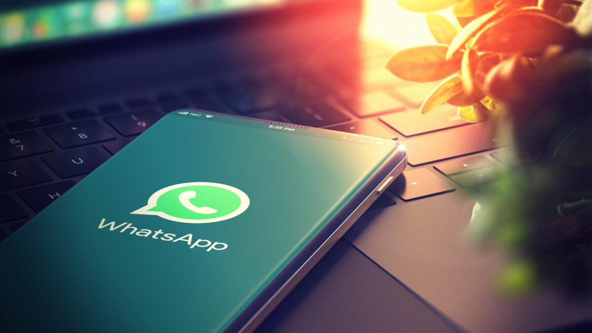 une image montrant le logo de whatsapp une plateforme qui permet aux professionnels de dératisation de s'échanger