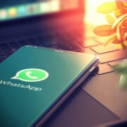 une image montrant le logo de whatsapp une plateforme qui permet aux professionnels de dératisation de s'échanger