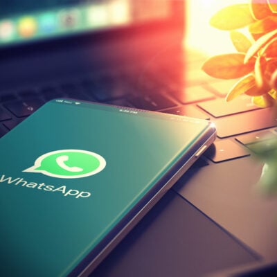 une image montrant le logo de whatsapp une plateforme qui permet aux professionnels de dératisation de s'échanger