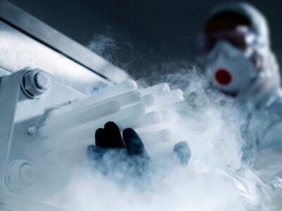 La carboglace en dératisation