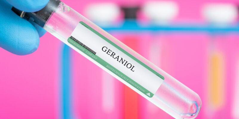 Géraniol et gestion des nuisibles