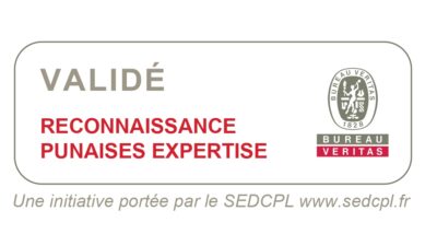 certification détection canine punaises de lit
