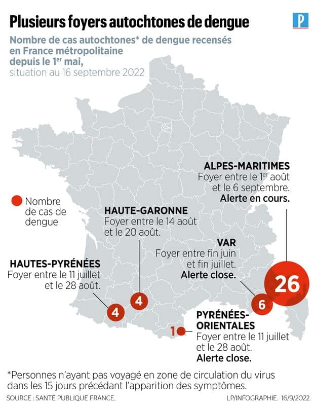 carte france cas dengue