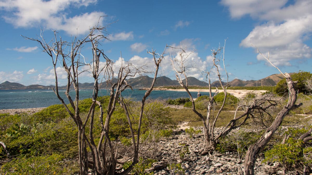 Ile Tintamarre, Réserve naturelle nationale de Saint Martin