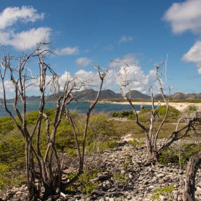 Ile Tintamarre, Réserve naturelle nationale de Saint Martin